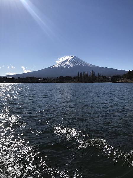 IMG_9203.JPG IMG_9203.JPG