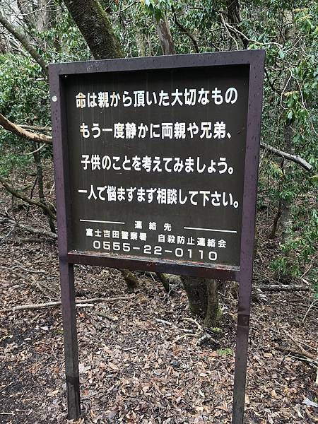 IMG_8897.JPG IMG_8897.JPG