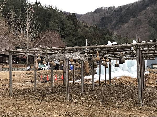 IMG_5980.JPG IMG_5980.JPG