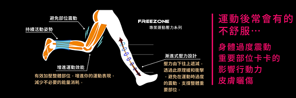 FreeZone  Fz300壓力褲13