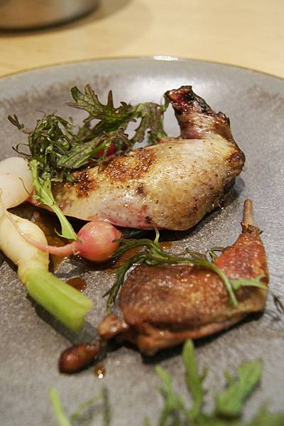 pigeonneau d pigeonneau d