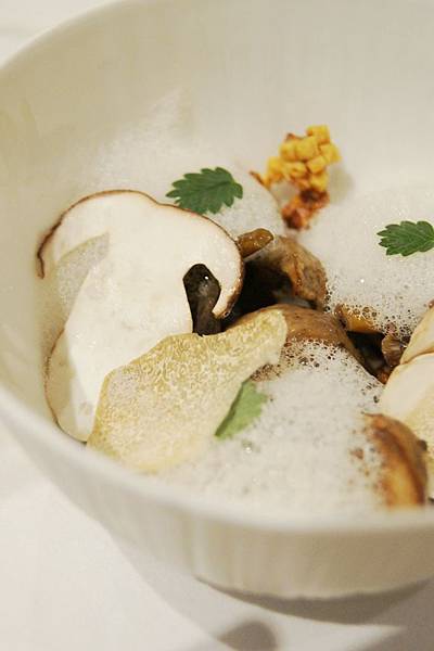 Champignons Champignons