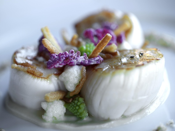 複製 -Coquilles Saint Jacques à la Plancha sommintés de chou-fleur en fine crème (c)Eric Laignel.jpg 複製 -Coquilles Saint Jacques à la Plancha sommintés de chou-fleur en fine crème (c)Eric Laignel.jpg