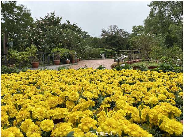 內雙溪自然中心 藥用植物園 牛魔王 痞客邦