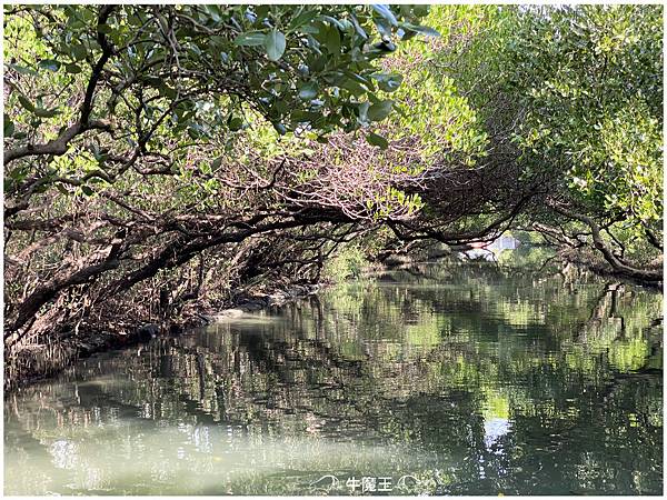 四草綠色隧道