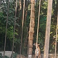 綠色動物園5.jpg