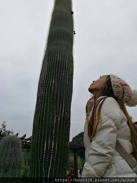 廈門植物園39(我跟超大仙人掌).jpg