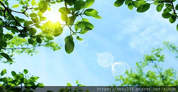 jpsummer00-870x450.jpg jpsummer00-870x450.jpg