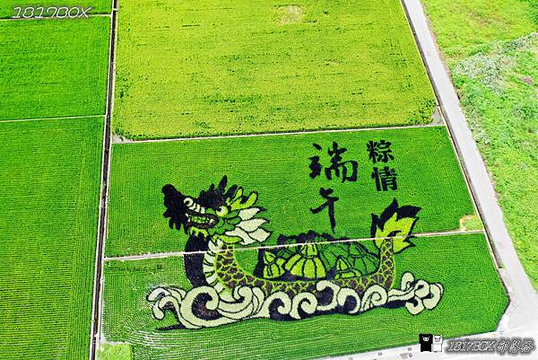 稻田彩繪,苑裡鎮農會,龍舟,端午節,觀景台,山腳社區,藺草文化館,苗栗景點,粽情端午,彩繪稻田,苗栗苑裡,苗栗穀倉