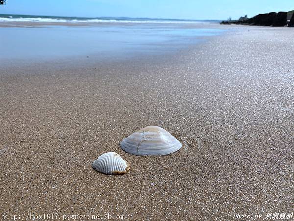 金門 2020金湖海灘花蛤季 中秋佳節在金門 看見不同的金門印象 金湖旅遊美食地圖分享 輕旅行