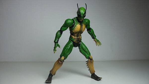 SHF 仮面ライダー真 (30).JPG