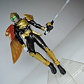 WAP&SHF 仮面ライダービースト (35).JPG