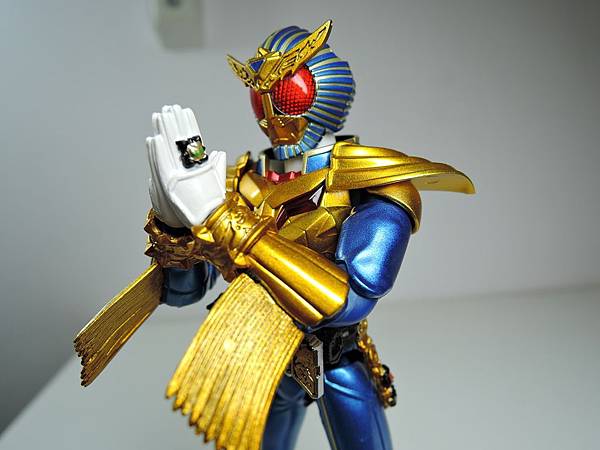 WAP&SHF 仮面ライダービースト (68).JPG