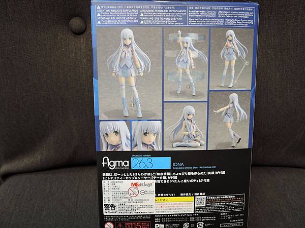 figma イオナ (4).JPG