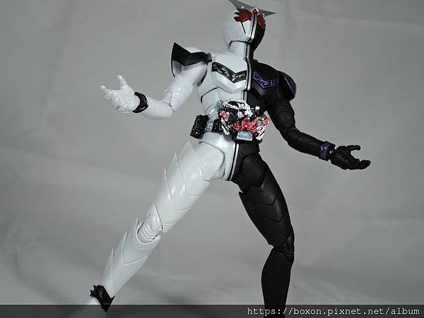 SHF 仮面ライダーダブル ファングジョーカー (17).JPG
