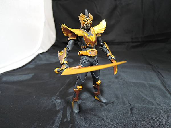 仮面ライダー龍騎 (145).JPG