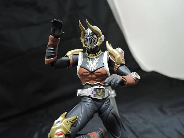 仮面ライダー龍騎 (192).JPG