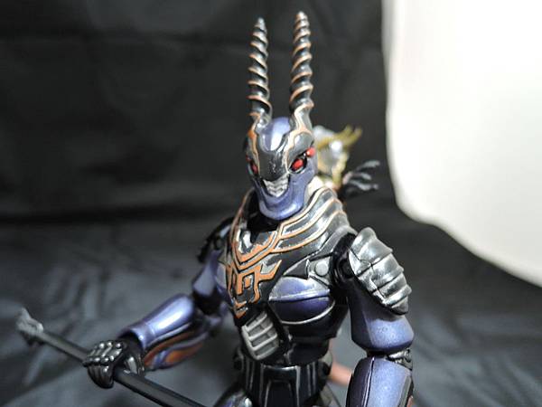 仮面ライダー龍騎 (201).JPG