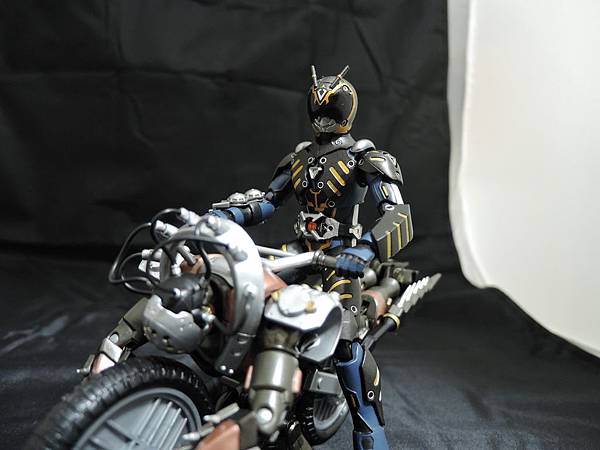 仮面ライダー龍騎 (223).JPG