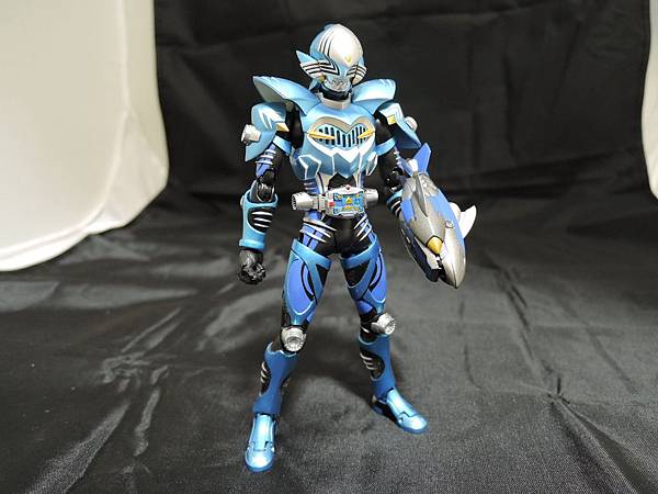 仮面ライダー龍騎 (287).JPG