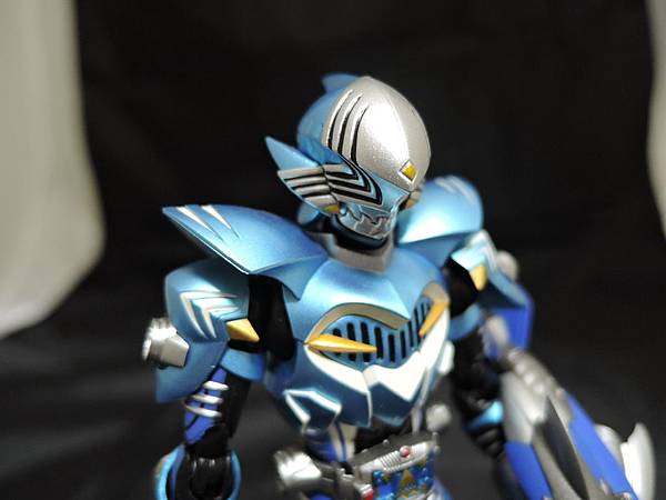 仮面ライダー龍騎 (288).JPG