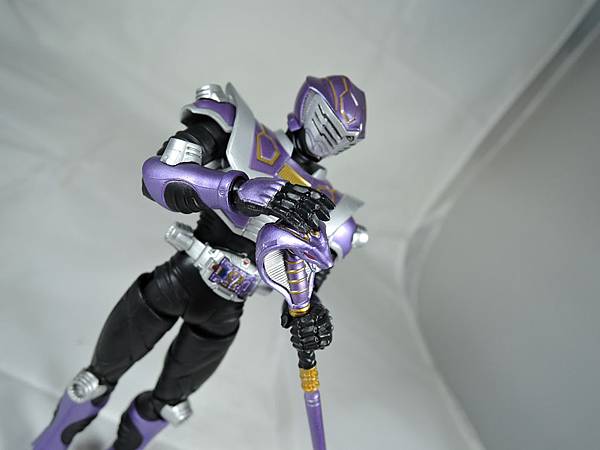 SHF 仮面ライダー王蛇 (24).JPG