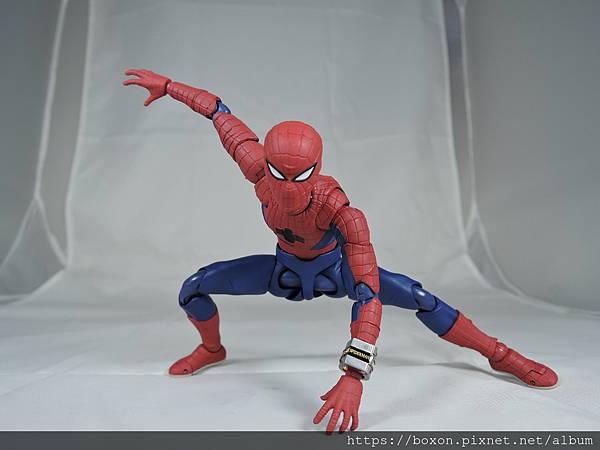 SHF スパイダーマッ (39).JPG