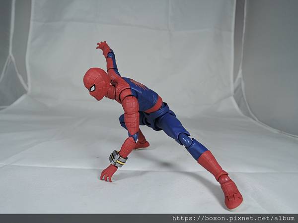 SHF スパイダーマッ (41).JPG