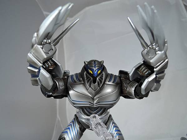 SHF 仮面ライダータイガ&オルタナティブ (36).JPG