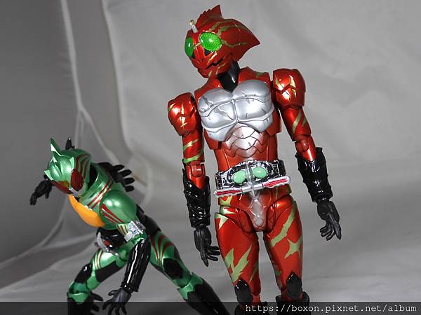 仮面ライダーアマゾンアルファ (13).JPG