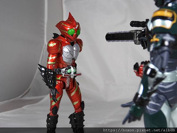 仮面ライダーアマゾンアルファ (24).JPG