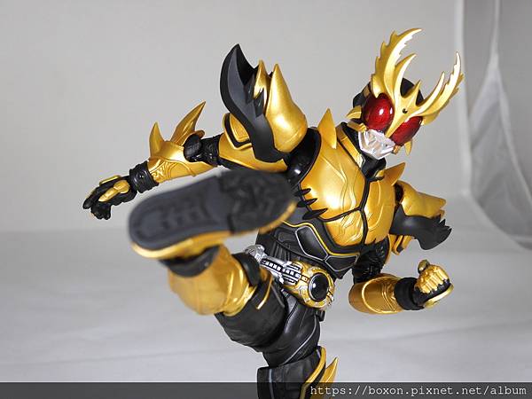 SHF 仮面ライダークウガ ライジングアルティメット (25).JPG