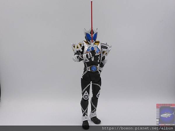 PhotoCap_SHF 真骨彫 仮面ライダーサガ (5).jpg