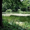 福山植物園2