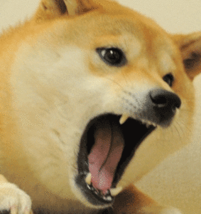 raw-image