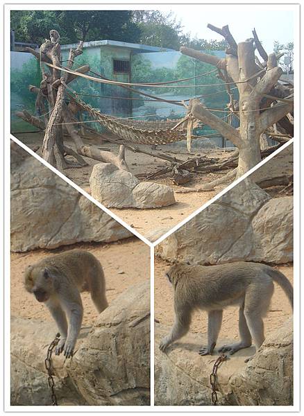 『遊記』新竹．動物園 