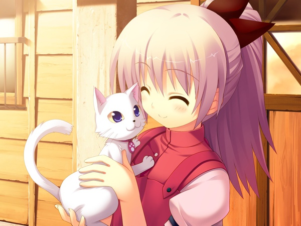 ひだまりバスケット Ma002d Jpg Boyfox 的相簿 痞客邦 ひだまりバスケット Ma002d Jpg Boyfox 的相簿 痞客邦