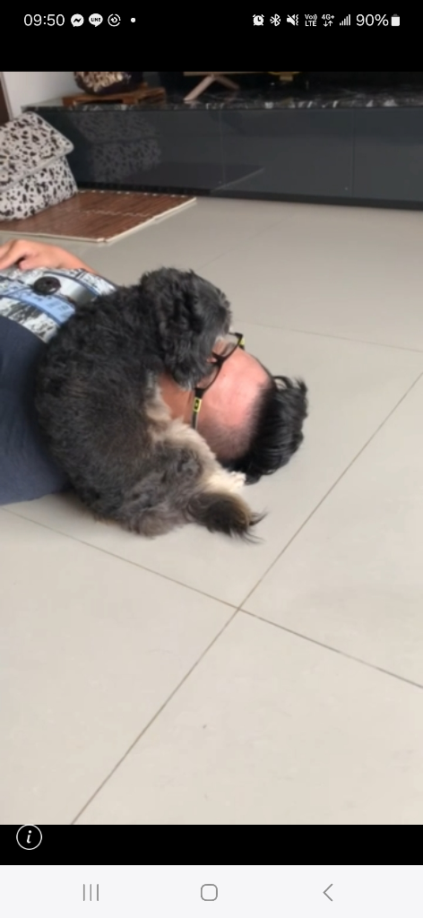 Solomax快時尚眼鏡