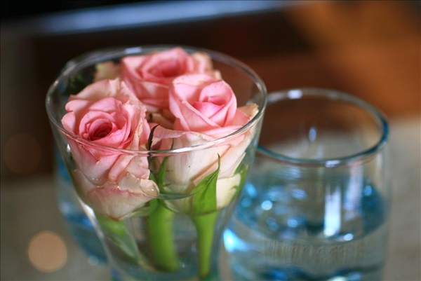 餐桌上新鮮的粉紅玫瑰花剪枝與水杯