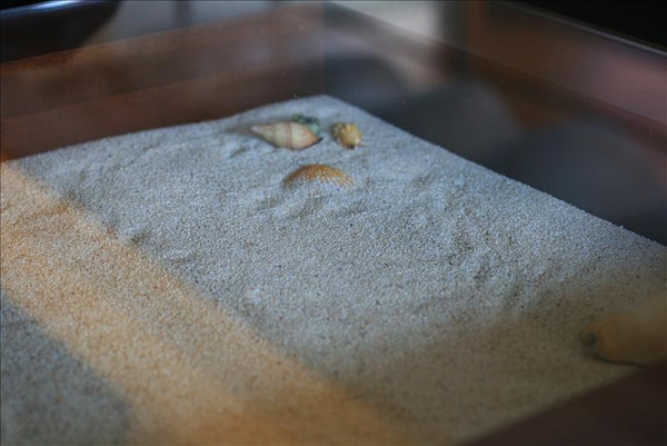 餐桌下是透明的海沙