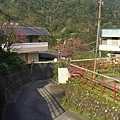 福山村的路.JPG