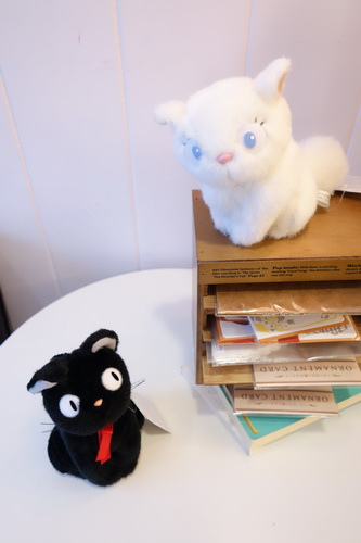 DSC02317.JPG