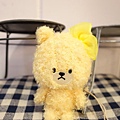DSC02347.JPG