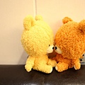 DSC02351.jpg