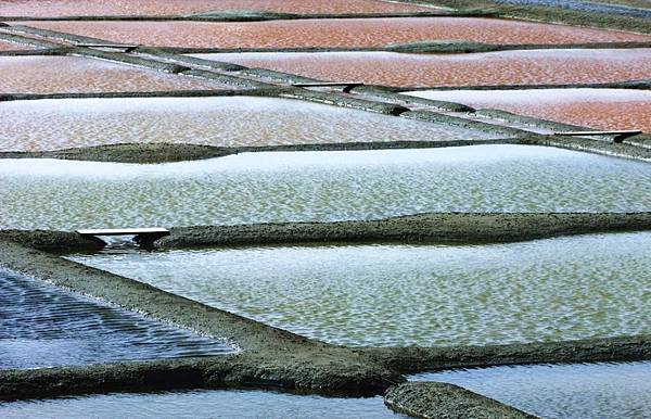 Brittany-salt-pans-at-Guerande.jpg