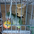 20140812109天17穿過環