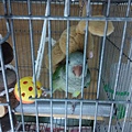 20140812109天16一家三口