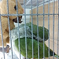 20140812109天12理毛