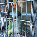20140812109天04