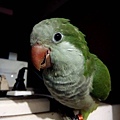 20140810107天